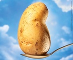 Kartoffel