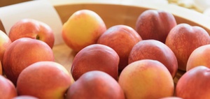 BGF:Gesund arbeiten im Kleinst- und Kleinbetrieb